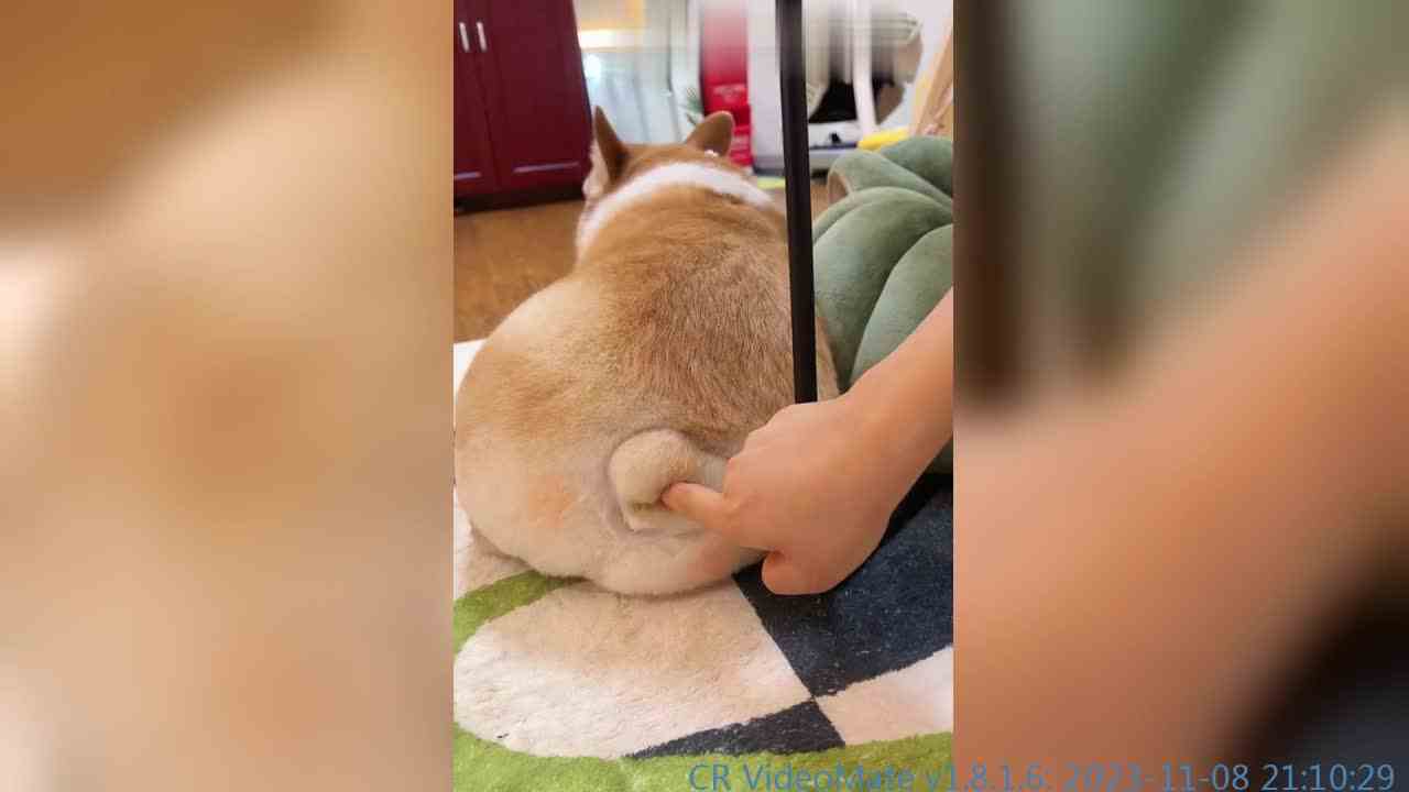 这颗小爱心过分Q弹了吧！