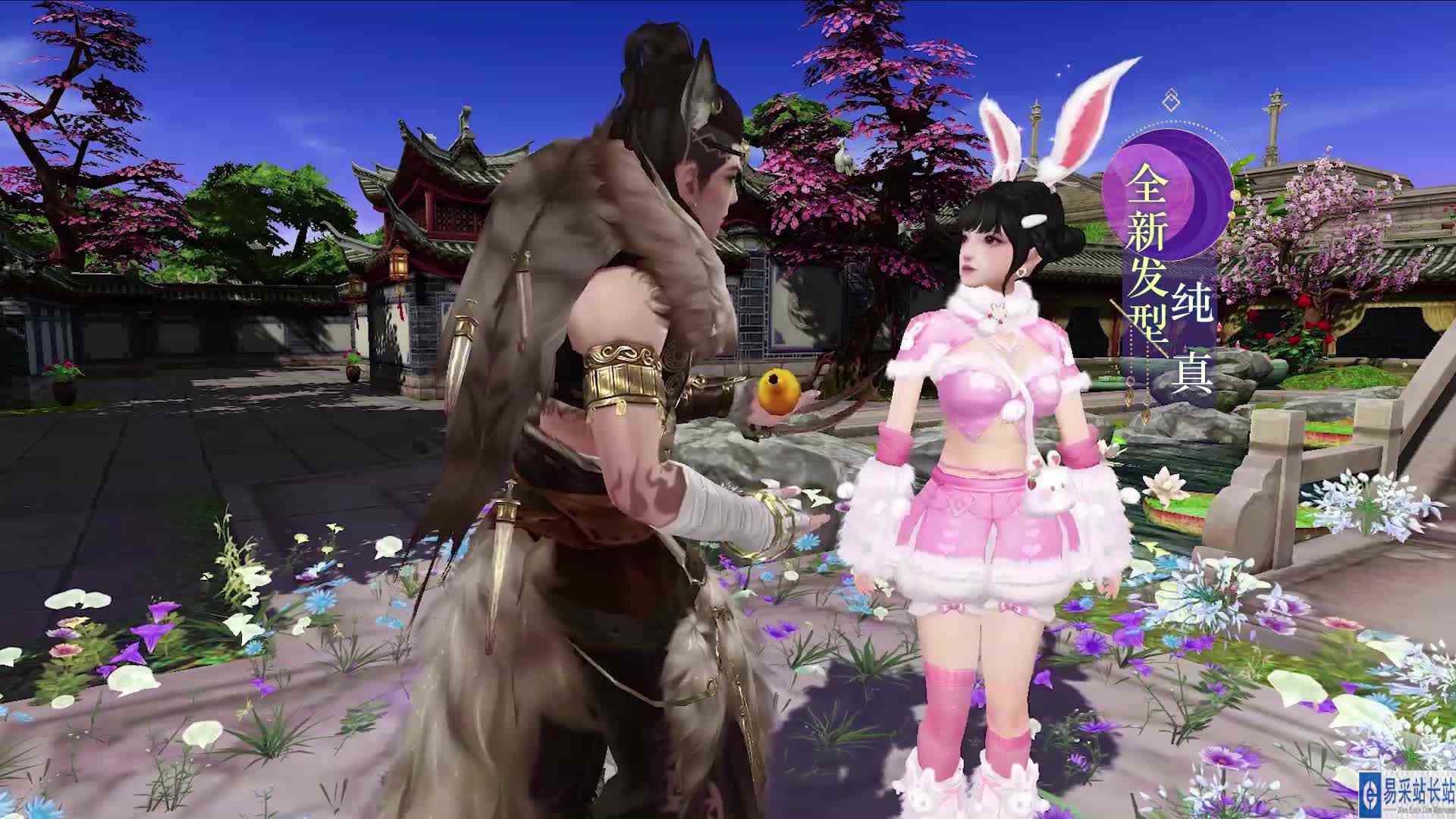 苍狼：今天实践表白计划，成功了就叫【月兔苍狼·如梦】！