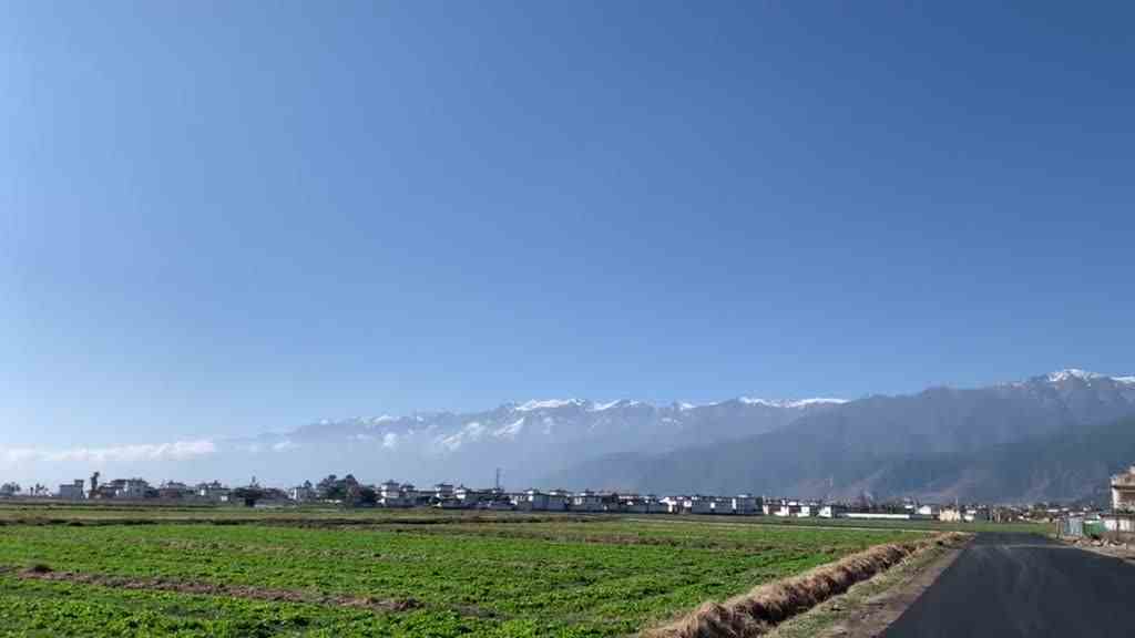 我就这么坐着，2020给我什么我就接着，拿走什么我就看着……不敢相信近期发生的一切