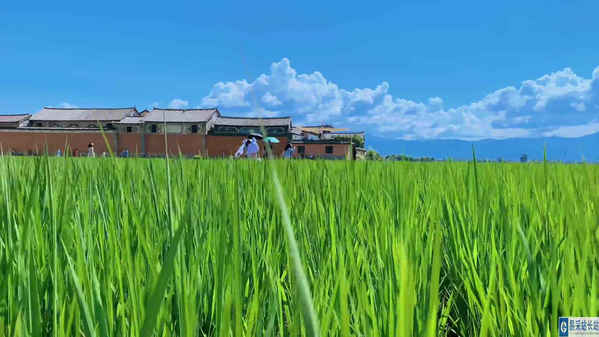 火热的夏日，即将迎来火把节，希望今年可以玩个痛快