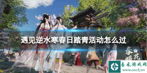 网1