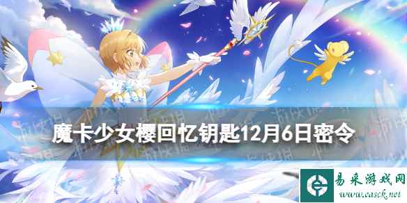 网1