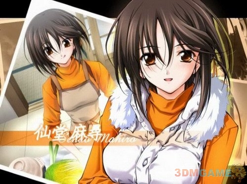 秋之回忆5：安可