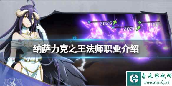 纳萨力克之王法师职业介绍