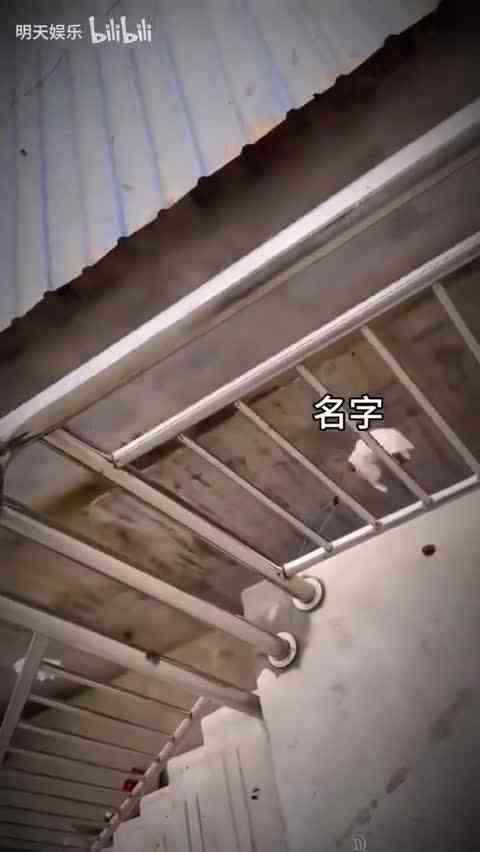 【明天娱乐】最新视频上线，求关注！