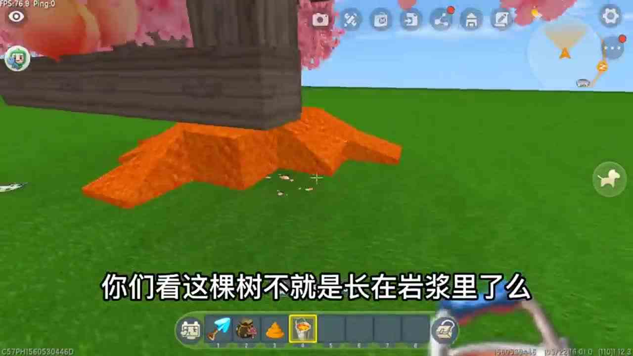 迷你世界：不同年龄在岩浆上种植物，3岁失败了，12岁种太阳花