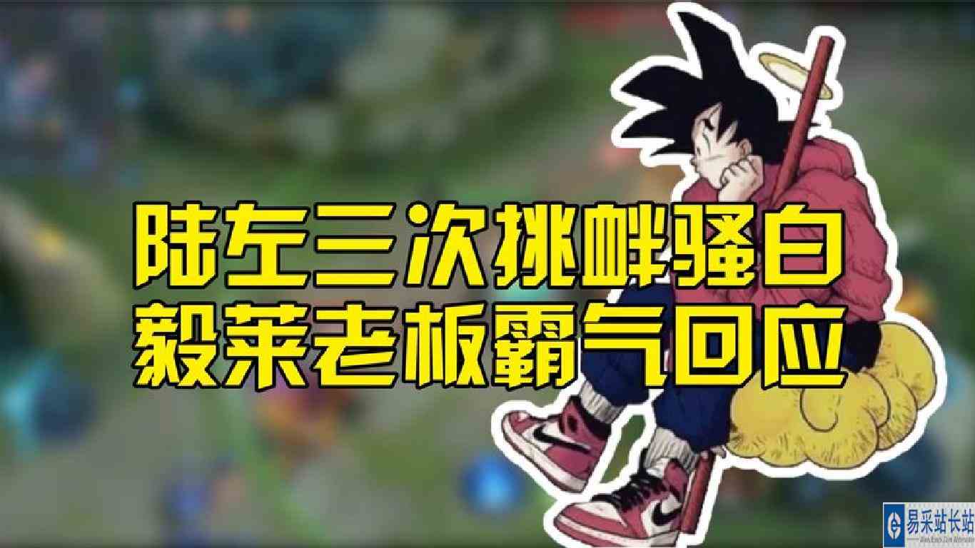 陆左三次挑衅骚白，毅莱来老板霸气回应，谁都不能得罪骚白！