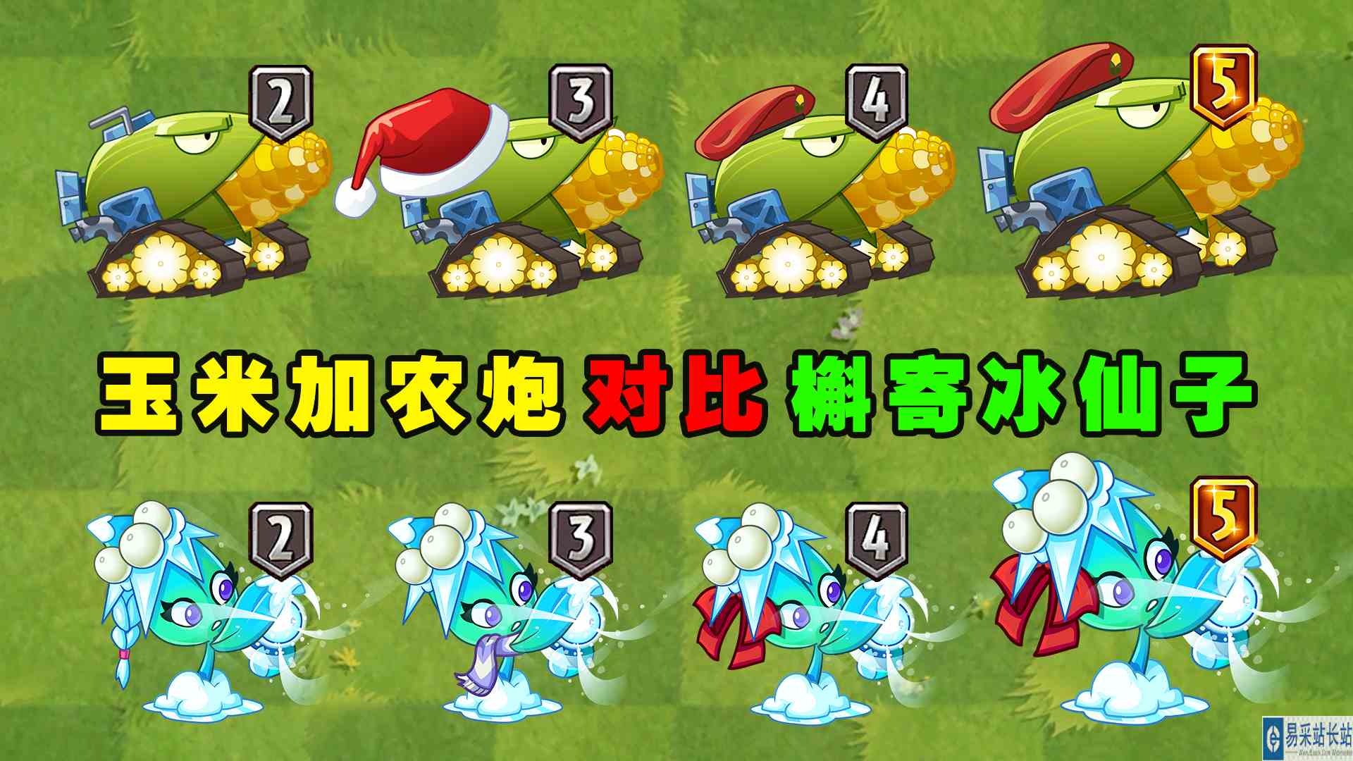 玉米加农炮和槲寄冰仙子同为炮类植物，对比之下谁更好用？