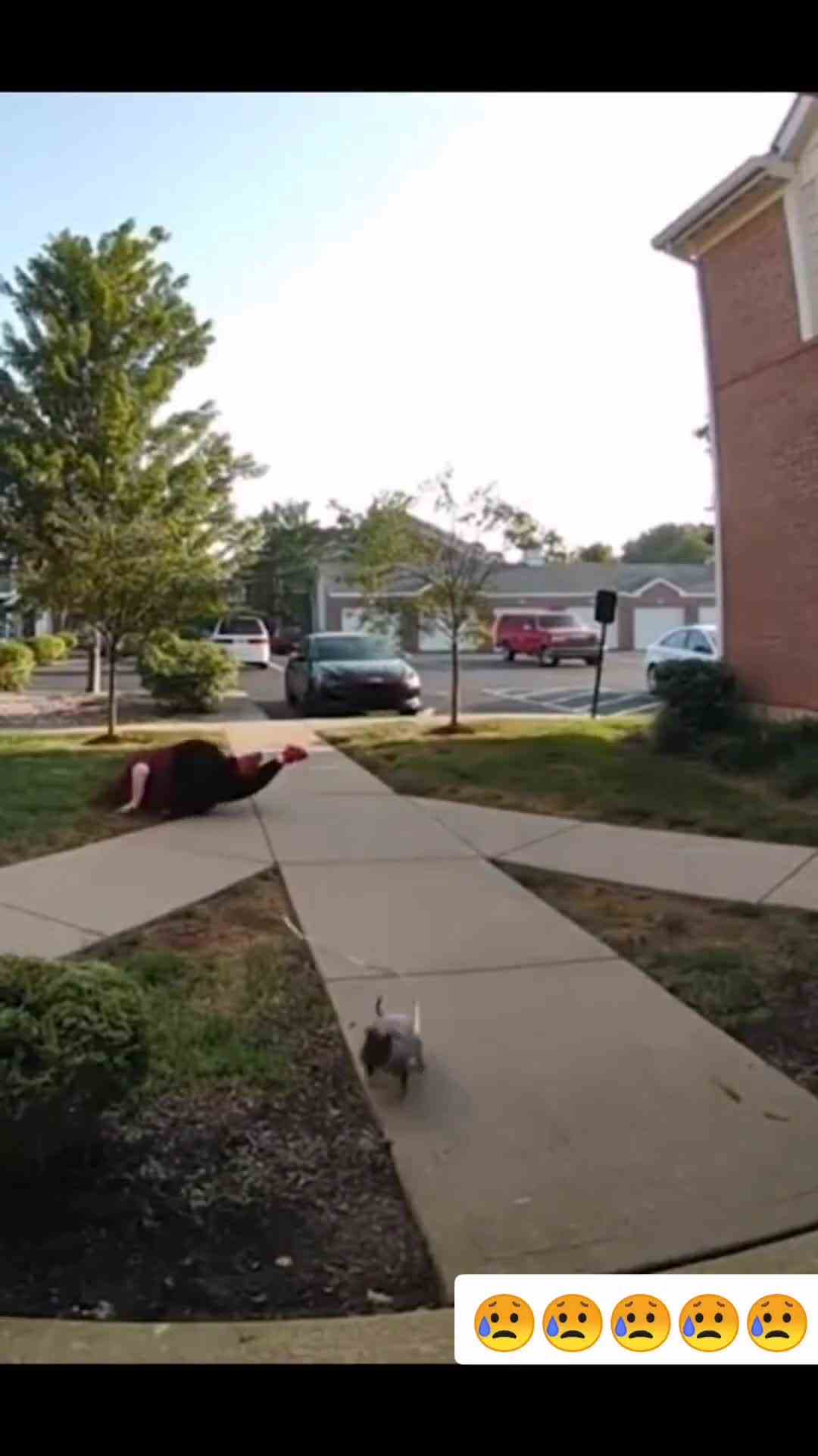 这操作也是没谁了