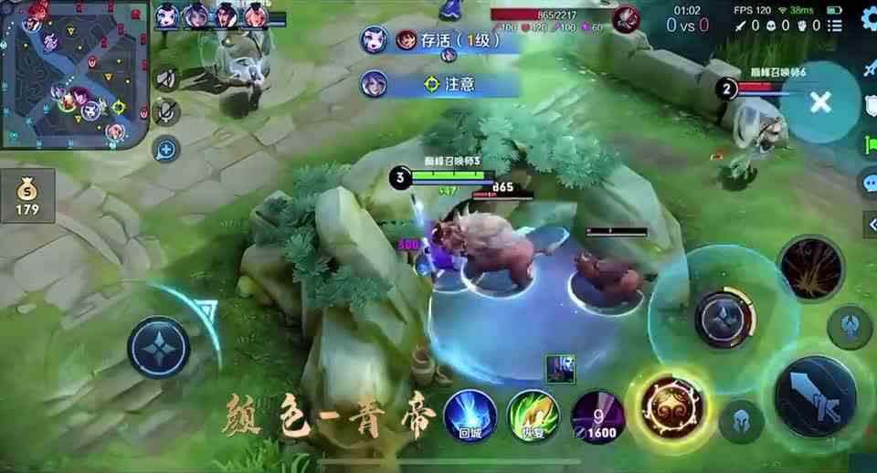 王者荣耀青帝\x26孙悟空1126