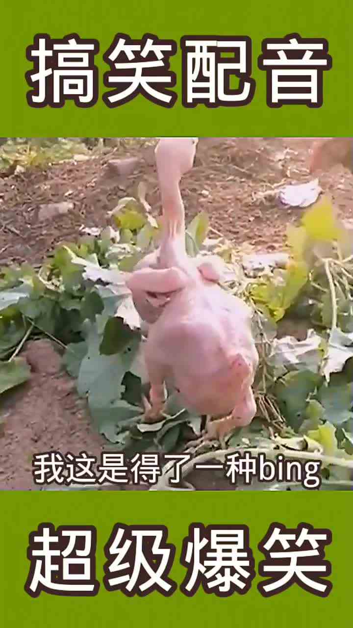 飞一号起飞，方向跑遍3ok