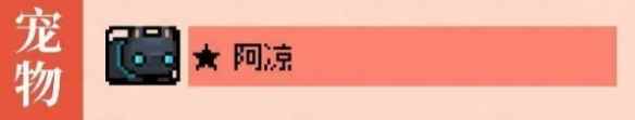 网5