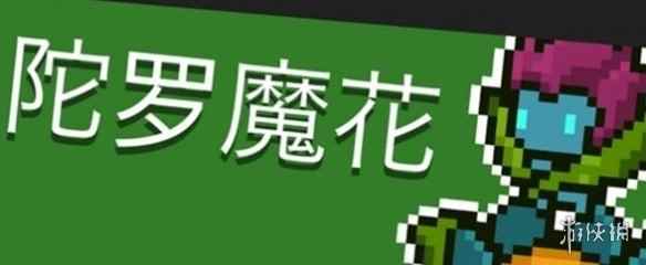 网4