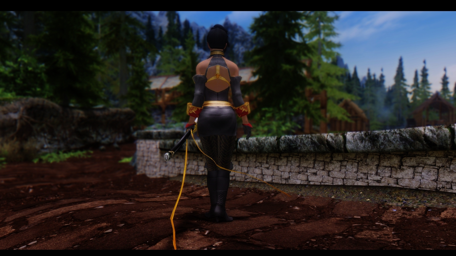 上古卷轴5：天际 少女卷轴之金色流年