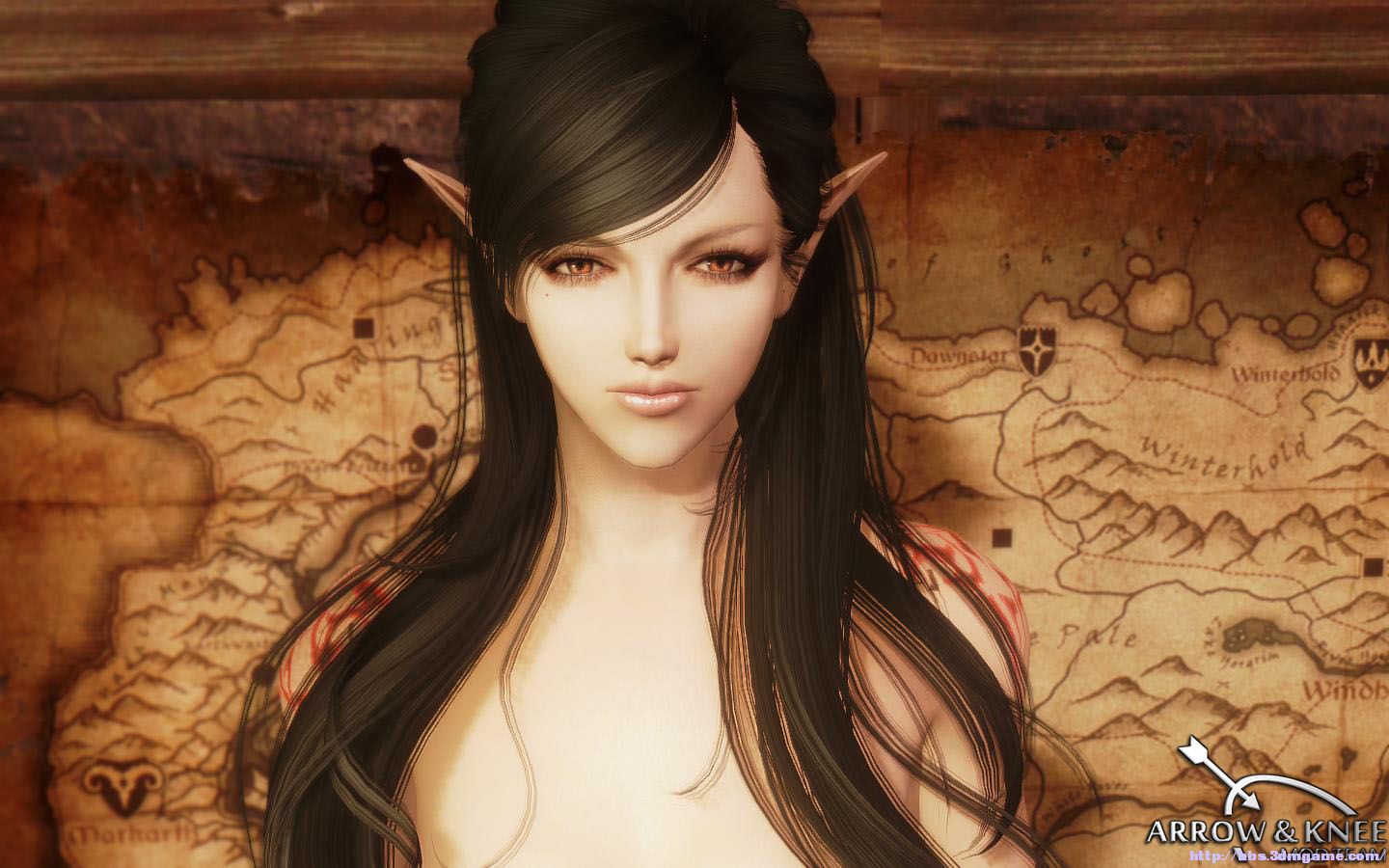 上古卷轴5 美女随从 冰火双法—笑眯眯姐妹花