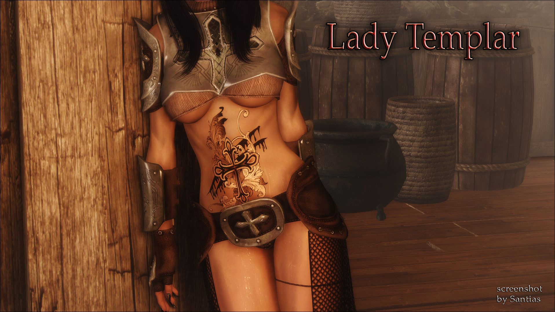 上古卷轴5：天际 女圣殿骑士铠甲 汉化版