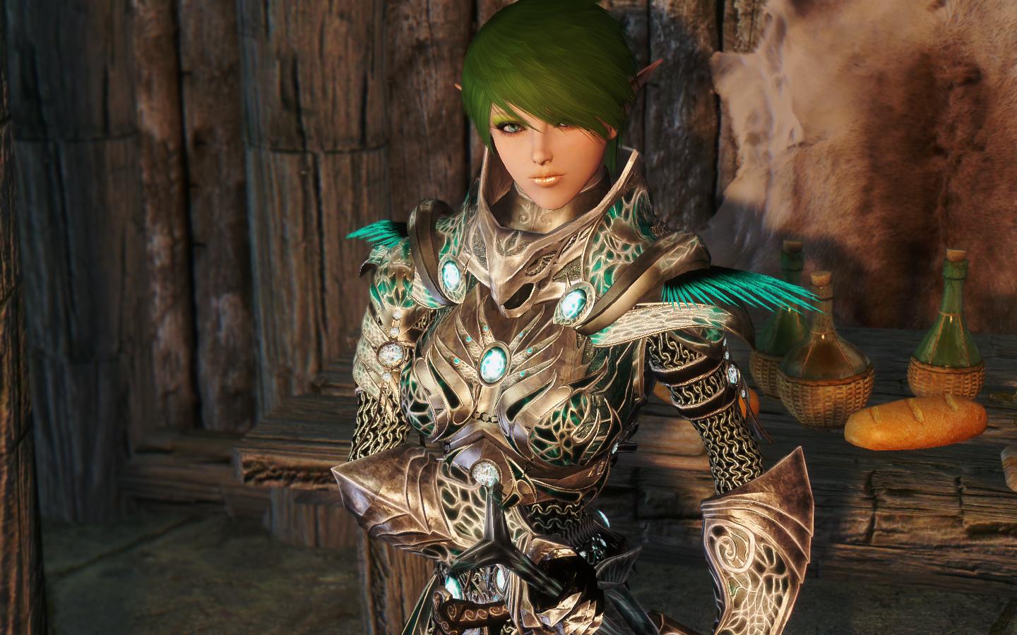 上古卷轴5 美女随从MOD 精灵剑士德鲁希丽雅