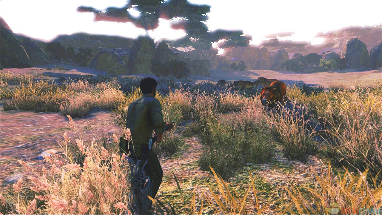 坎贝拉的非洲冒险 游戏截图