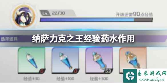 纳萨力克之王经验药水作用