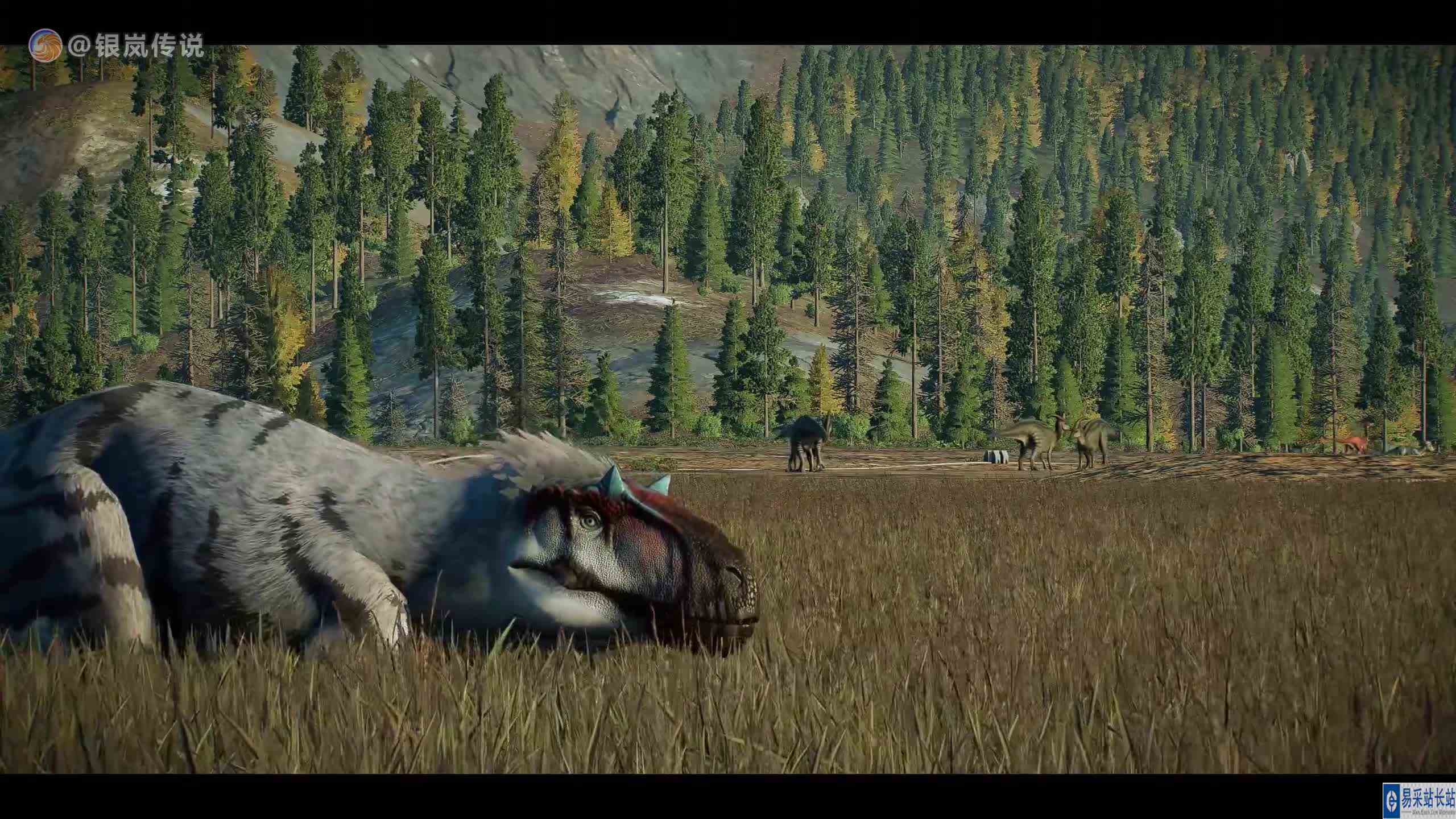 华丽羽暴龙 VS 霸王龙 ~ 侏罗纪世界进化 #游戏新星扶持计划 