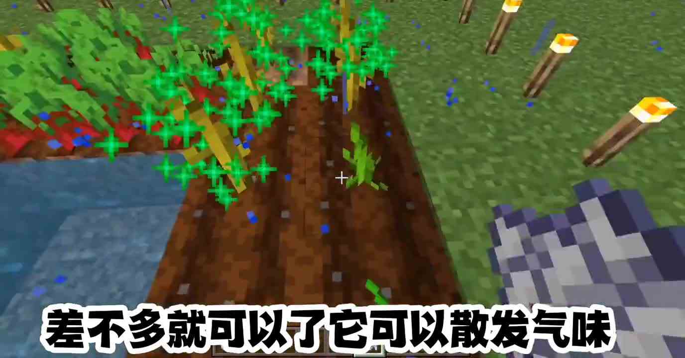 我的世界菜种之神菜神