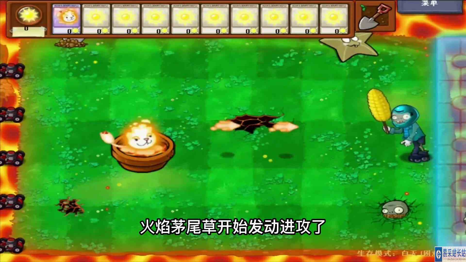 植物大战僵尸改造火焰猫尾草，伤害增加50倍，竟能秒杀僵王博士ok