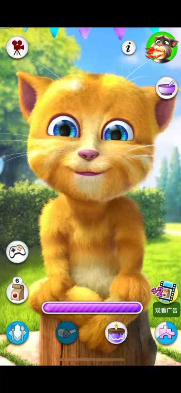 #汤姆猫的日常 #我的汤姆猫 #汤姆猫的有趣生活