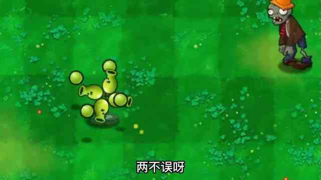 植物大战僵尸：当豌豆射手100岁，被戴夫做成一碗“豌豆汤”？