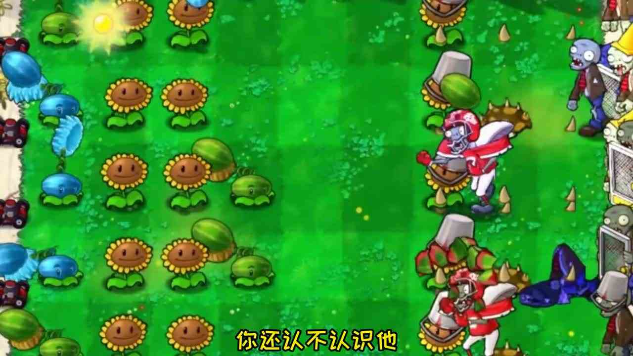 植物大战僵尸：当向日葵有了段位，看看这还是你认识的向日葵吗？