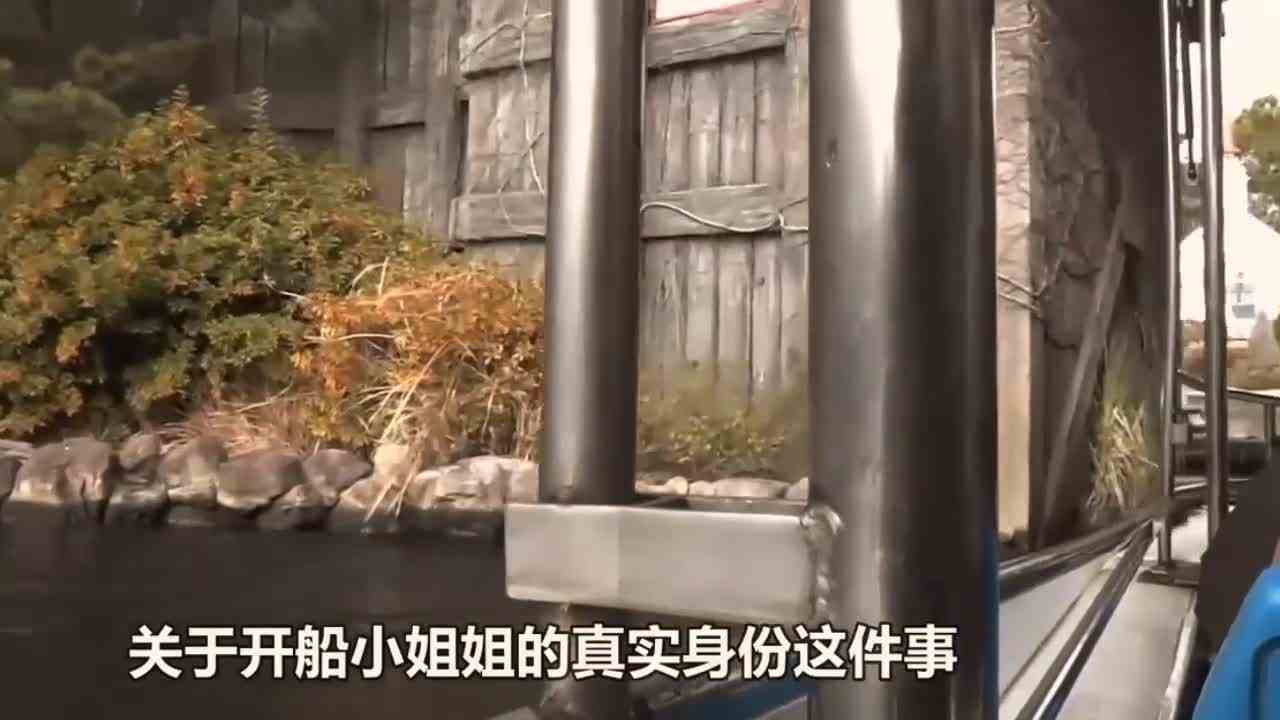  你想加入正义灭鲨勇士队吗？第一视角带你去挑战鲨鱼池！