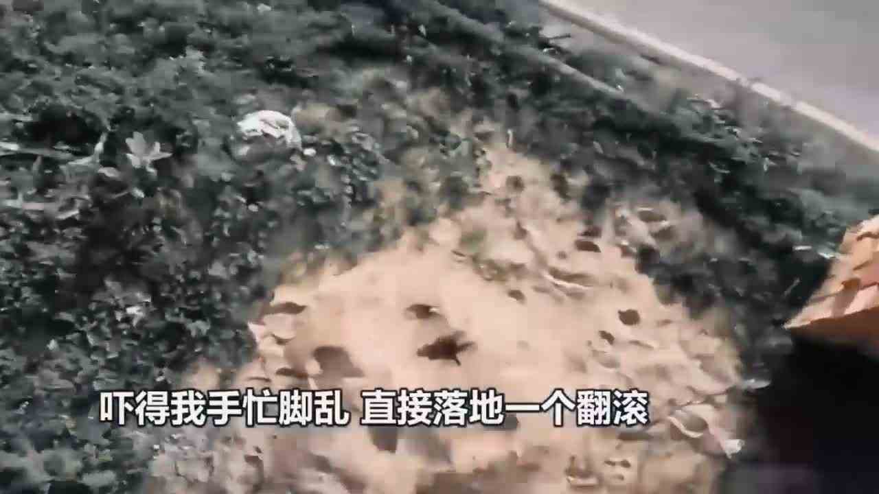 如果你被神秘军团疯狂追击？第一视角带你展开绝地逃亡模式！