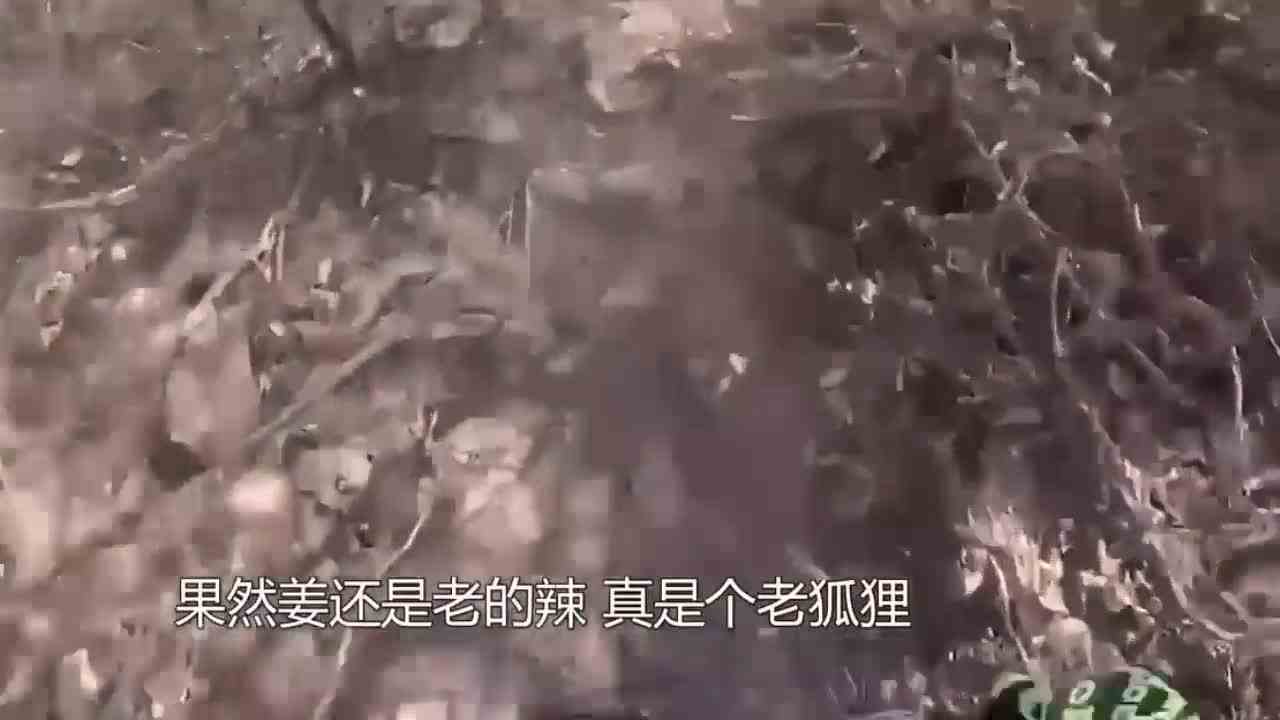  如果你是一名车神，你会怎么做？第一视角带你体验上学飞车风云！