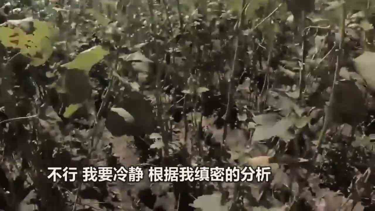 如果你在田间遇到奇怪的稻草人？第一视角带你逃离恐怖稻草人！