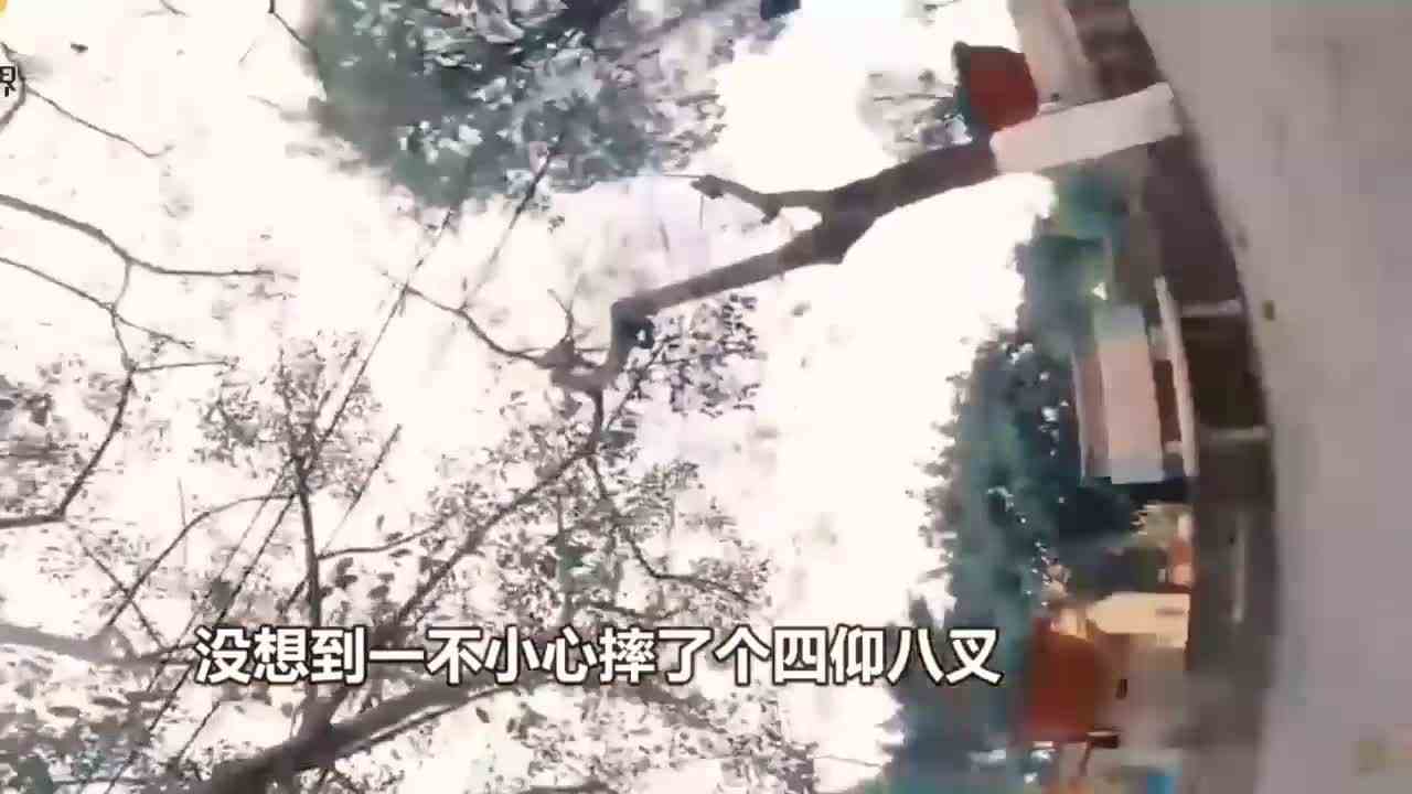 当你偷完纸片游戏被老爸发现？第一视角带你疯狂逃离暴怒的老爸！