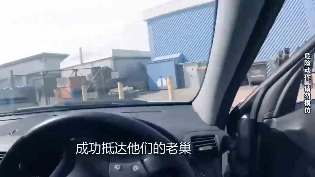  当你的暑假作业被偷？第一视角带你超级模式飞车夺回作业！超燃！