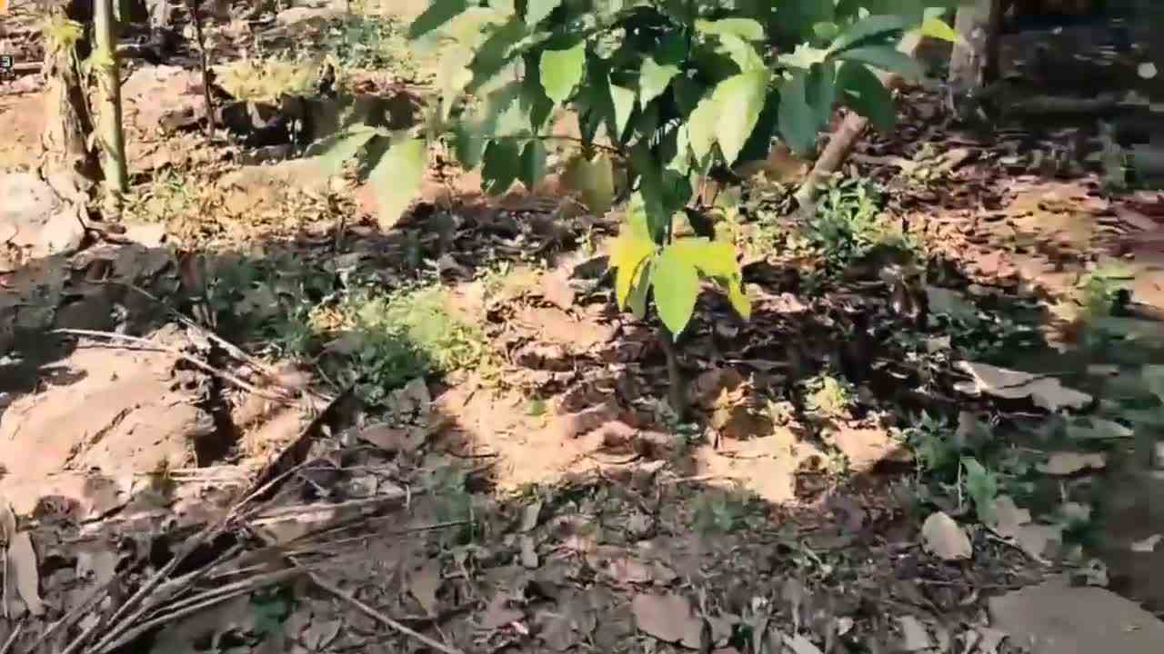 如果野外发现泰罗奥特曼大战恶魔宙达？第一视角带你一探究竟！