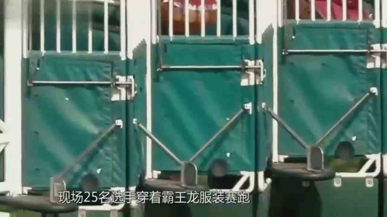 盘点最奇葩的4种比赛！霸王龙争霸赛！幼稚才玩呢