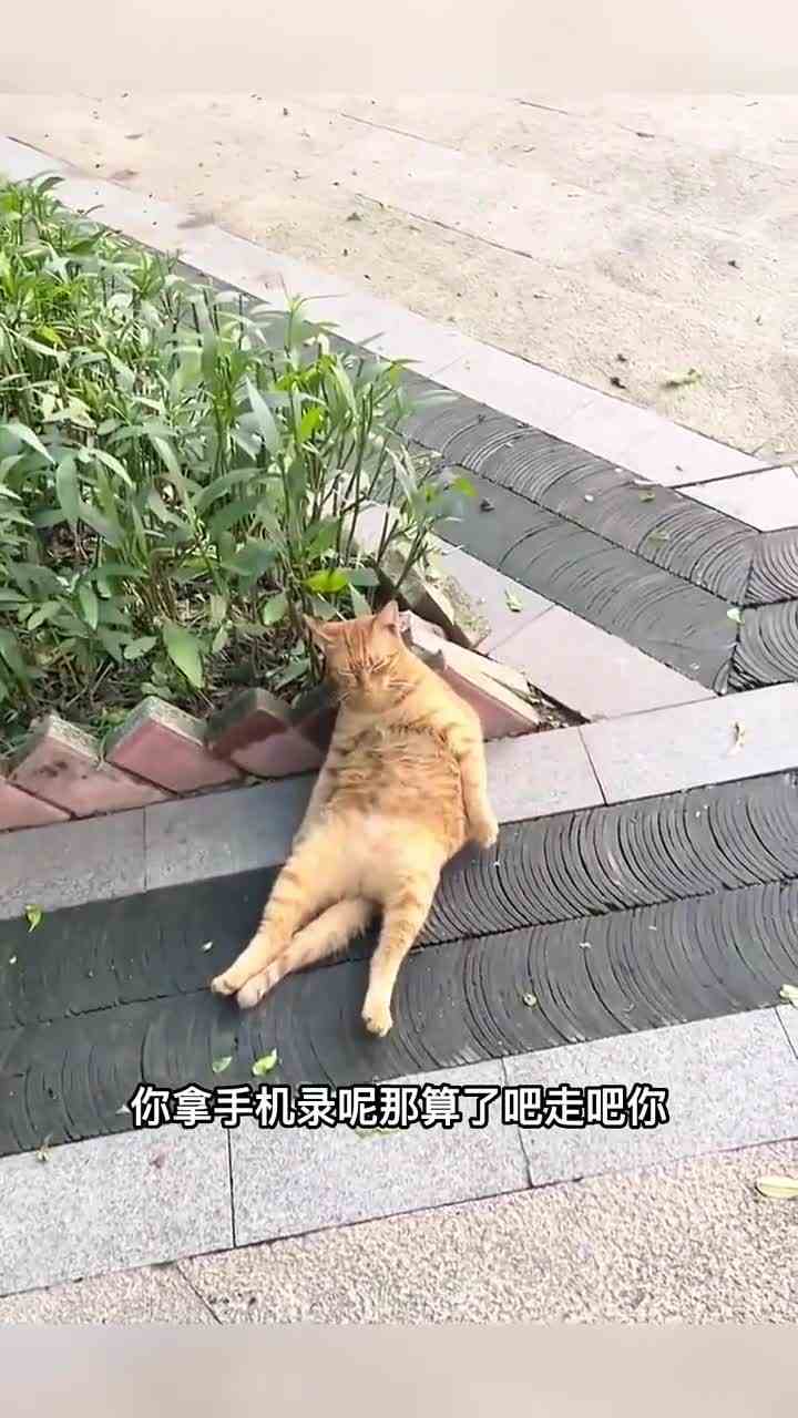 年轻人能不能扶我一把aok