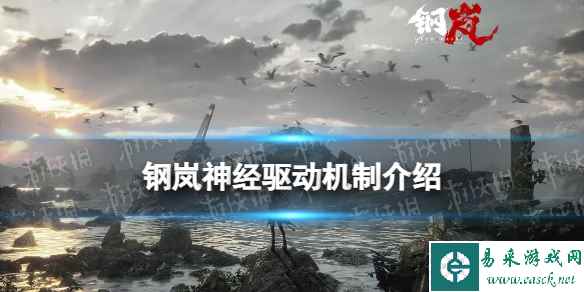 网1