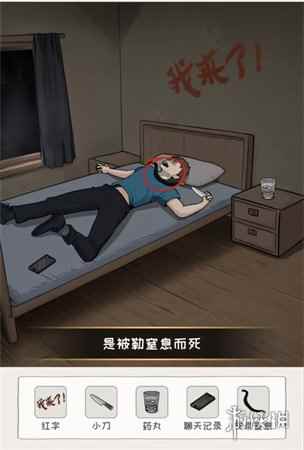 网6