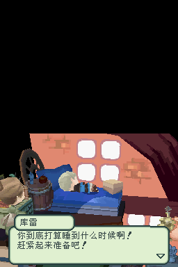 NDS光之4战士：最终幻想外传