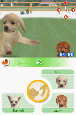 NDS任天狗：腊肠犬与伙伴