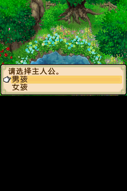 NDS牧场物语：双子村