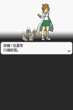 NDS口袋妖怪：白