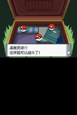 NDS口袋妖怪：钻石