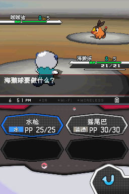 NDS口袋妖怪：黑