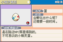 口袋妖怪：永恒之炎Zero 游戏截图