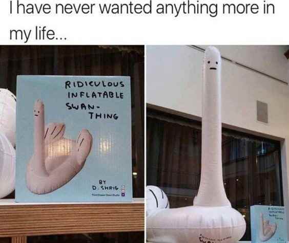 猫猫不一定需要但老王很需要 囧图 我从小就想开高达