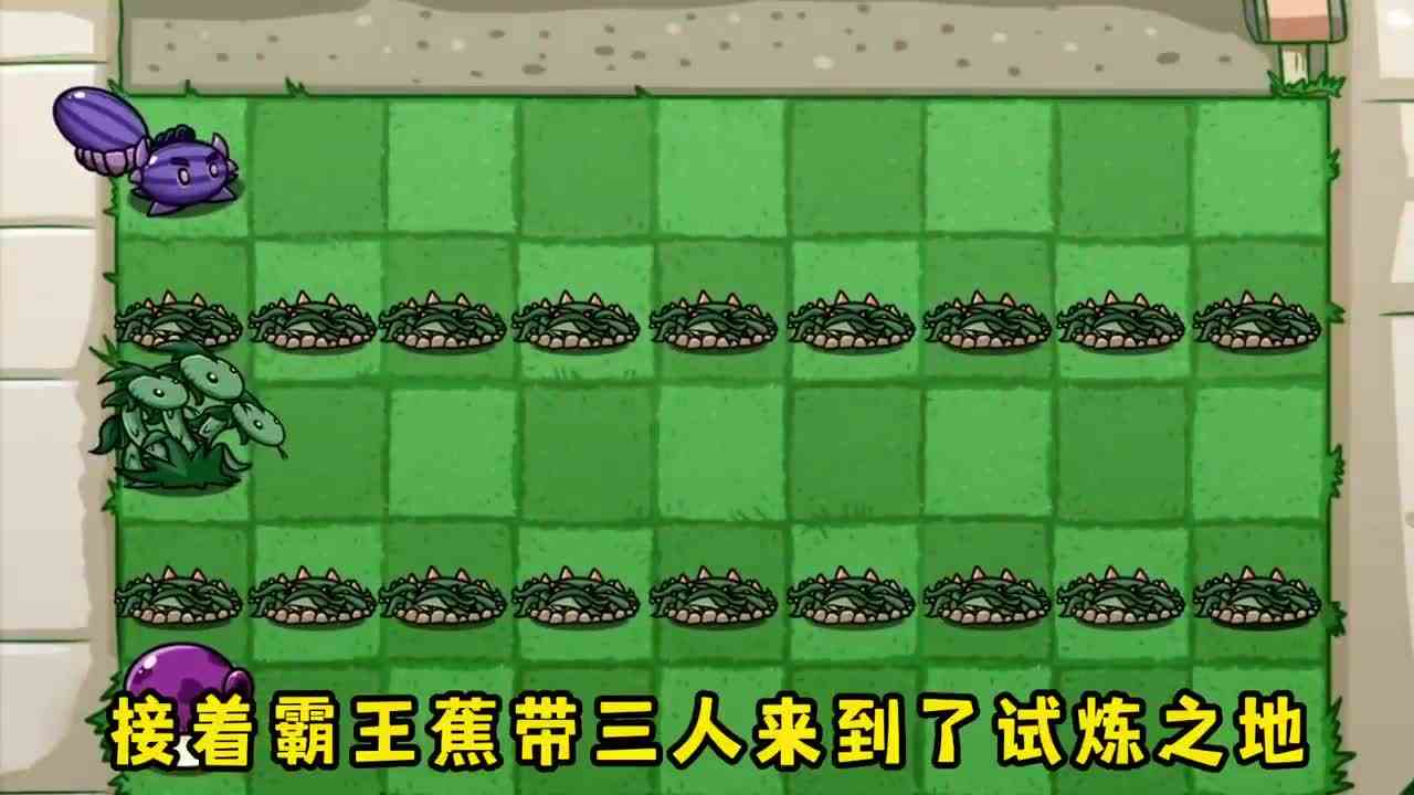 植物大战僵尸：谁能获得神级植物霸王蕉的传承？