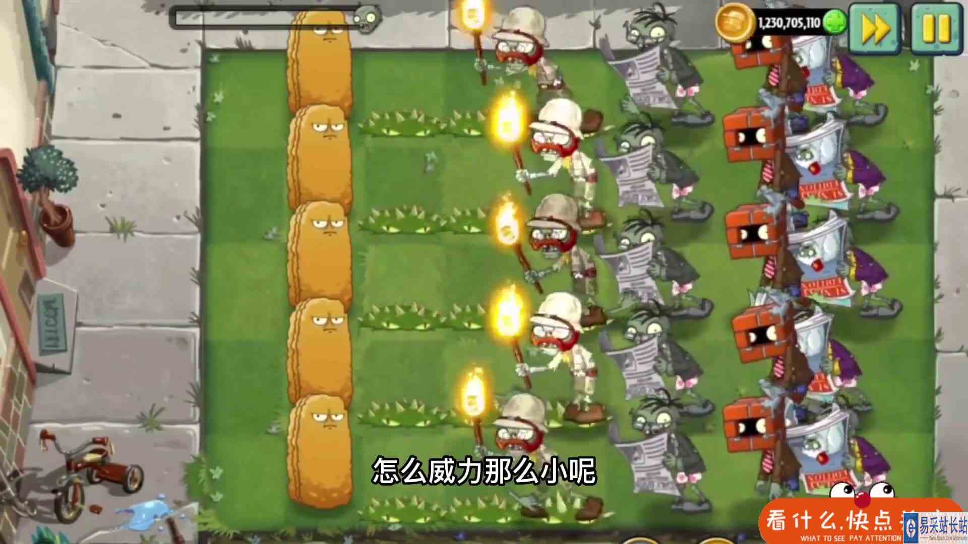 植物大战僵尸地刺家族谁最强？瞬间秒杀僵尸，没想到输出这么高ok